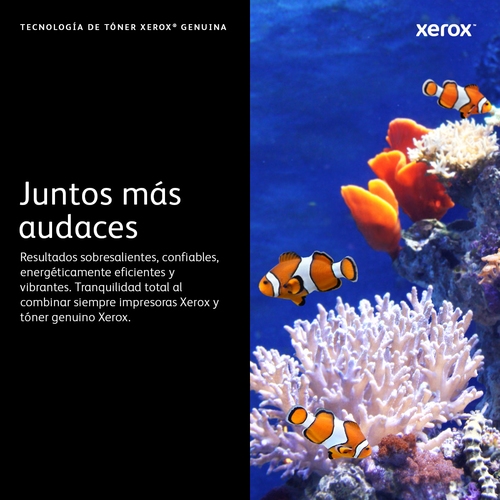 xerox toner negro versalink c7020/c7025/c7030 alta capacidad (16.100 páginas) xerox toner negro versalink c7020/c7025/c7030 alta capacidad (16.100 páginas)