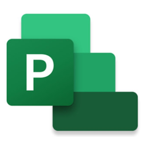 project pro 2024 esd down lics