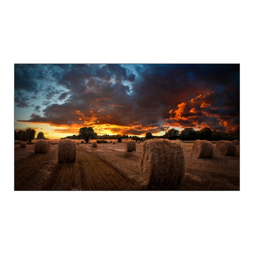 samsung lh24qbcebgcxen pantalla de señalización