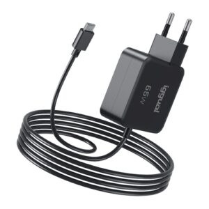 iggual Cargador portátil y móvil tipo C PD 65W