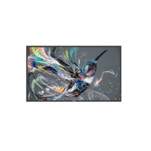 MONITOR PHILIPS 50" Q-LINE / PANEL VA D-LED 16:9 / 3840X2160 400CD/M2 / 8MS / PIXEL PITCH 0.285X0.285 / VESA 400X400/M6 / SOC MS - 92Q / USO LANDSCAPE / PORTRAIT 18/7 / OPS NO / WIFI NO / 1XRJ45 (50BD