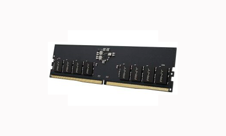 PNY Performance Memoria RAM DDR5 16GB 4800MHz CL40 - Sólo socket 1700